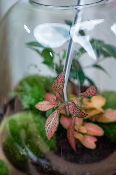 Terrarium pincet – Metaal – 26 cm lang