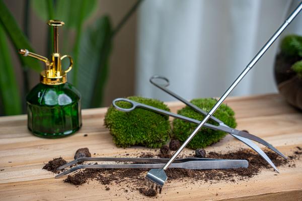 Terrarium pincet – Metaal – 26 cm lang