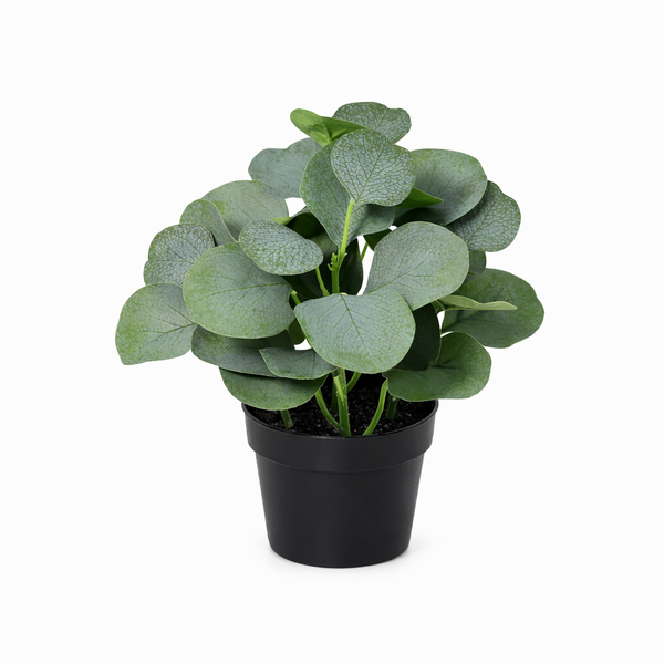 Eucalyptus – 21 cm | Kunstplant