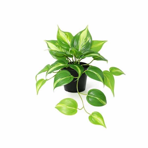 Kunst Epipremnum Variegata – 23 cm | Kunsthangplant