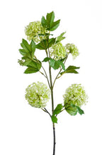 Kunstbloemen Solo – Crème – Viburnum Opulus Branches – x 4 – 75cm