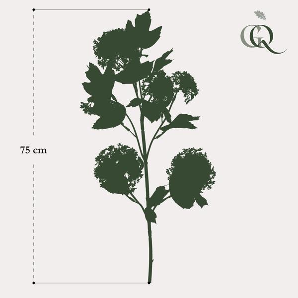 Kunstbloemen Solo – Crème – Viburnum Opulus Branches – x 4 – 75cm