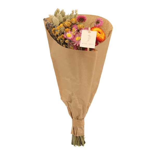 Droogbloemen Field Bouquet Multi – Ø15cm – ↕35cm