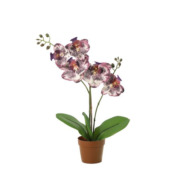 Kunst Orchidee Phalaenopsis Paars – 41 cm