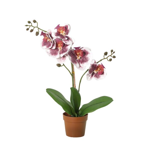 Kunst Orchidee Phalaenopsis Violet-Wit – 41 cm