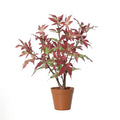 Kunst Esdoorn Rood – 53 cm