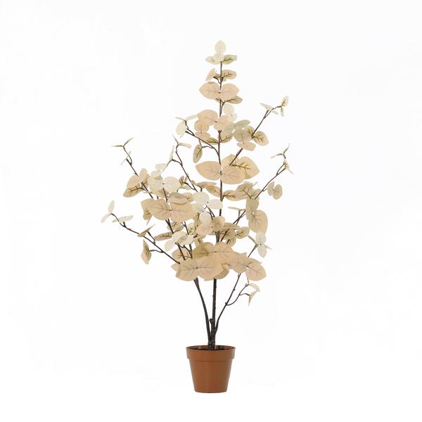 Kunst Eucalyptus Wit – 86 cm