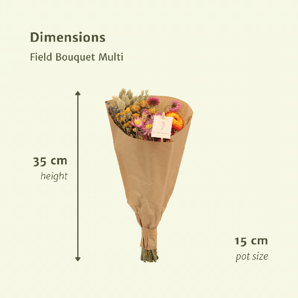 Droogbloemen Field Bouquet Multi – Ø15cm – ↕35cm