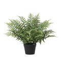 Kunstvaren Nephrolepis Exaltata – Groene Kunstplant 59 cm