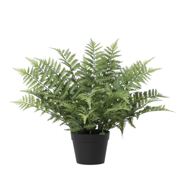 Kunstvaren Nephrolepis Exaltata – Groene Kunstplant 59 cm