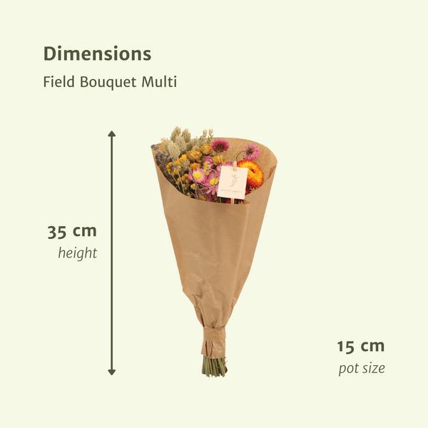 12x Field Bouquet Multi – Droogboeket – 35cm – Ø15