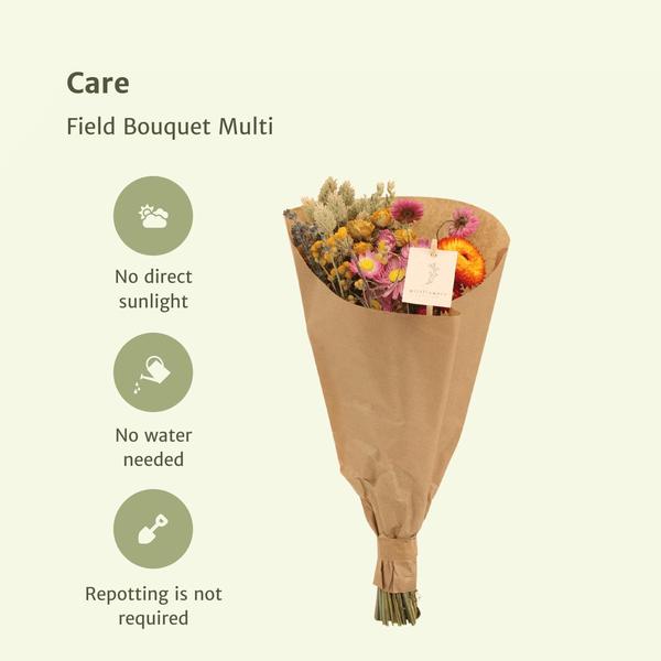 12x Field Bouquet Multi – Droogboeket – 35cm – Ø15