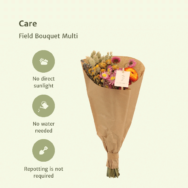 Droogbloemen Field Bouquet Multi – Ø15cm – ↕35cm