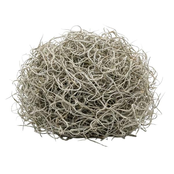 Gedroogd Tillandsia Mos – 1L
