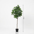 ARTIFICIAL Magnolia – 190cm