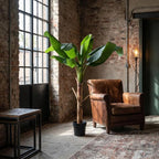Kunstplant – Bananenplant Musa – 150cm