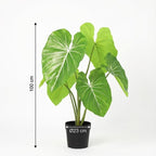 ARTIFICIAL Philodendron – 100cm