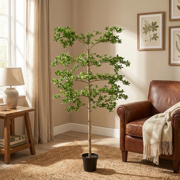 Kunstplant – ARTIFICIAL Bucida – 200cm