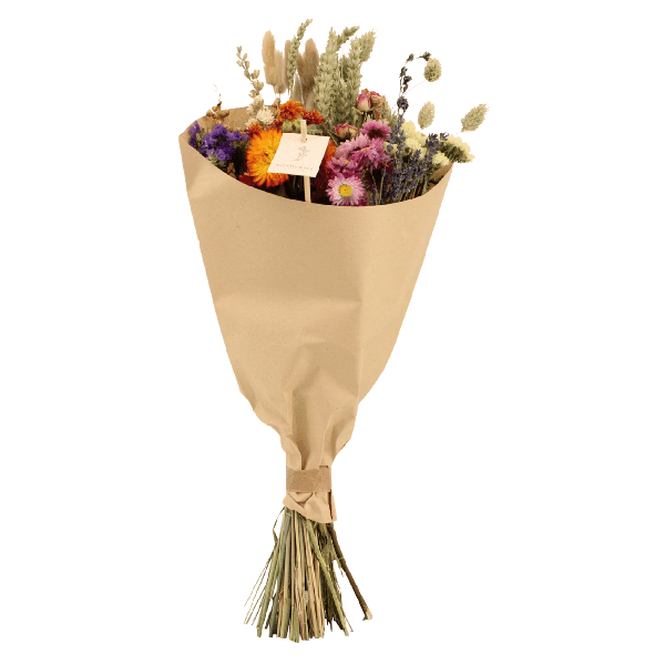 Droogbloemen Field Bouquet Multi – Ø20cm – ↕50cm