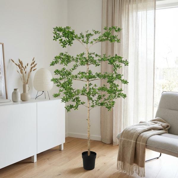 Kunstplant – ARTIFICIAL Bucida – 200cm