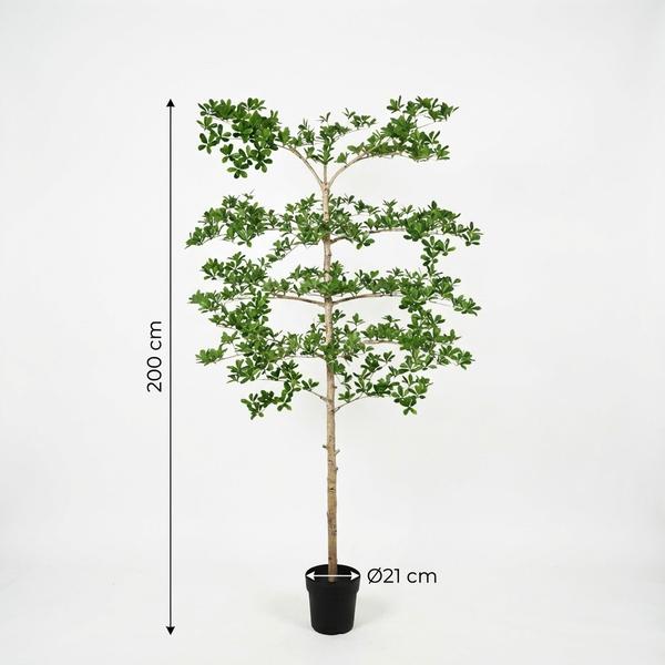 Kunstplant – ARTIFICIAL Bucida – 200cm