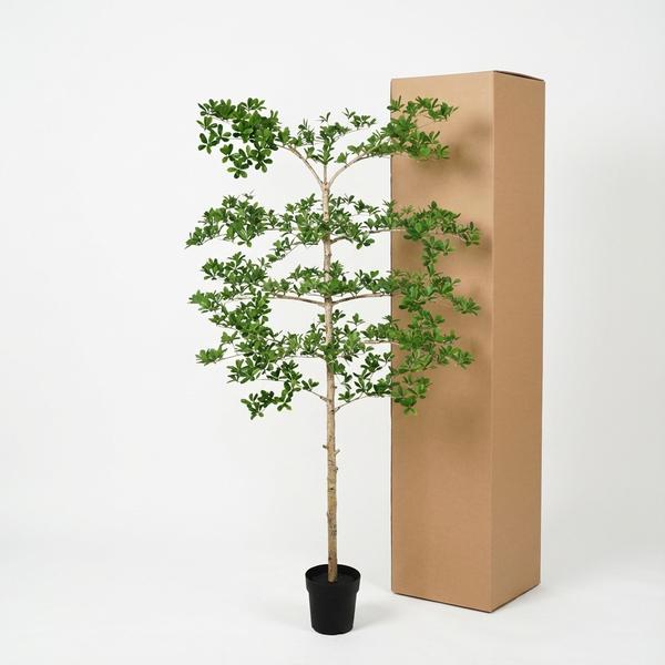 Kunstplant – ARTIFICIAL Bucida – 200cm