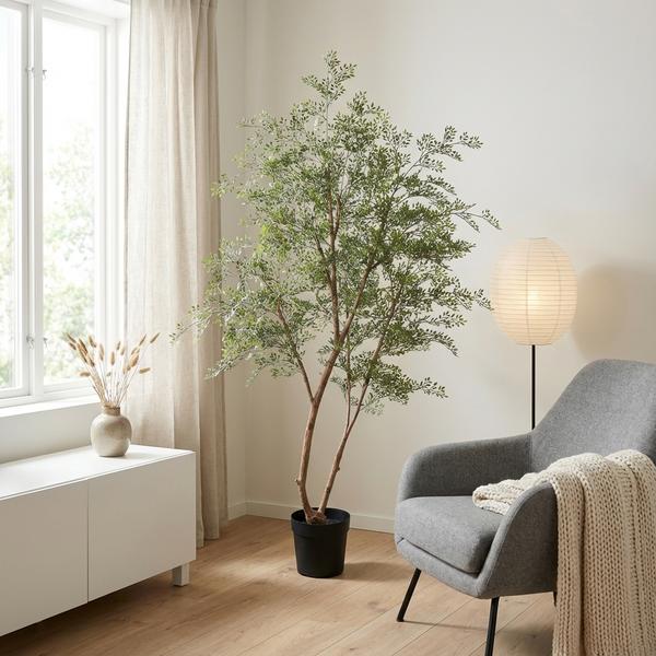 ARTIFICIAL Cassia boom – 180cm