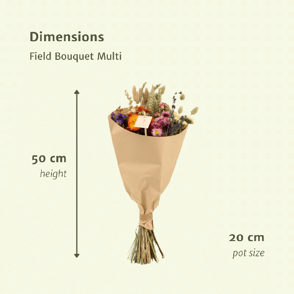 Droogbloemen Field Bouquet Multi – Ø20cm – ↕50cm