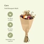 Droogbloemen Field Bouquet Multi – Ø20cm – ↕50cm