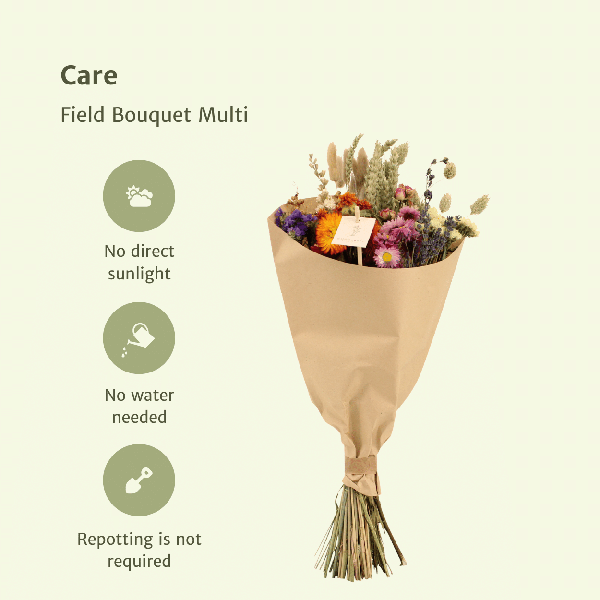 Droogbloemen Field Bouquet Multi – Ø20cm – ↕50cm