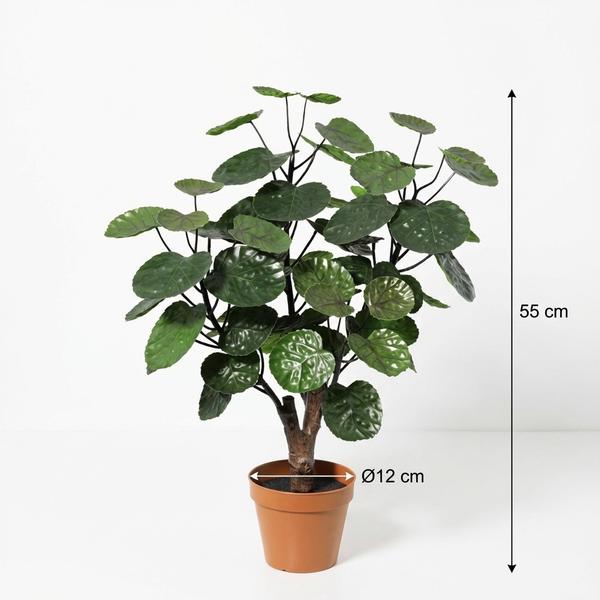 ARTIFICIAL Polysicas Fabian – 55cm