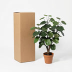 ARTIFICIAL Polysicas Fabian – 55cm