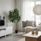 ARTIFICIAL Ficus Lyrata boom – 180cm