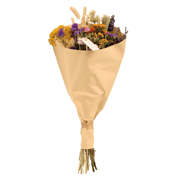 Droogbloemen Field Bouquet Multi – Ø25cm – ↕60cm