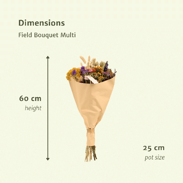 Droogbloemen Field Bouquet Multi – Ø25cm – ↕60cm