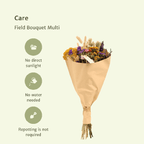 Droogbloemen Field Bouquet Multi – Ø25cm – ↕60cm