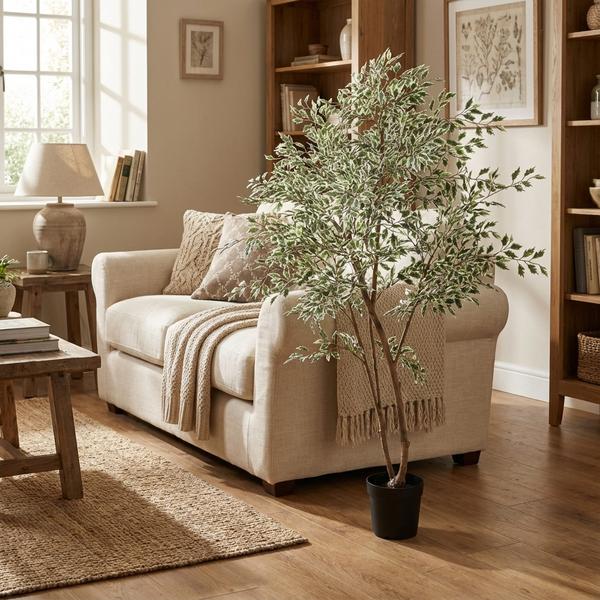 ARTIFICIAL Ficus benjamina variegata – 185cm