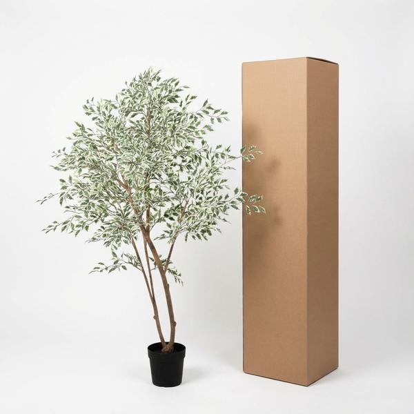 ARTIFICIAL Ficus benjamina variegata – 185cm