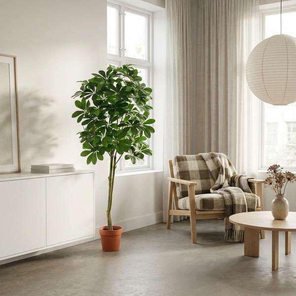 ARTIFICIAL Pachira Aquatica – 150cm