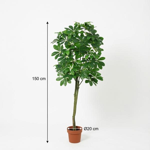 ARTIFICIAL Pachira Aquatica – 150cm