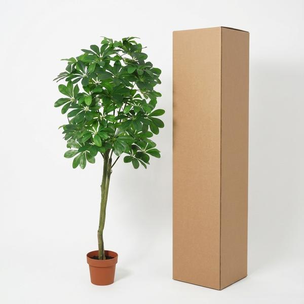 ARTIFICIAL Pachira Aquatica – 150cm