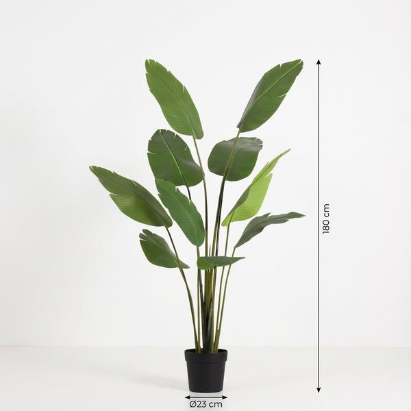 ARTIFICIAL Strelitzia Nicolai – 180cm