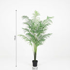 ARTIFICIAL Kentia palm – 170cm