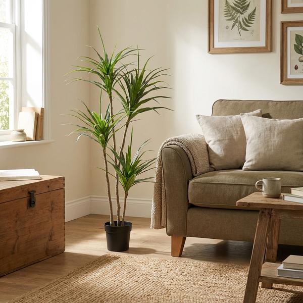 ARTIFICIAL Dracaena – 165cm