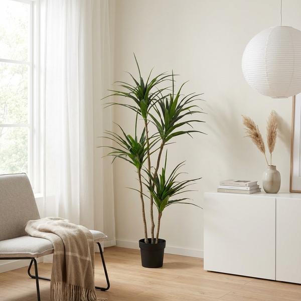 ARTIFICIAL Dracaena – 165cm