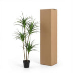 ARTIFICIAL Dracaena – 165cm