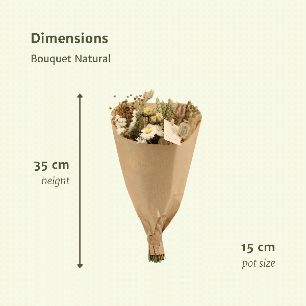 Droogbloemen Field Bouquet Natural – Ø15cm – ↕35cm