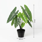 ARTIFICIAL Alocasia Polly – 40cm