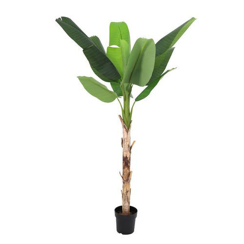 ARTIFICIAL Bananenplant Musa – 190cm