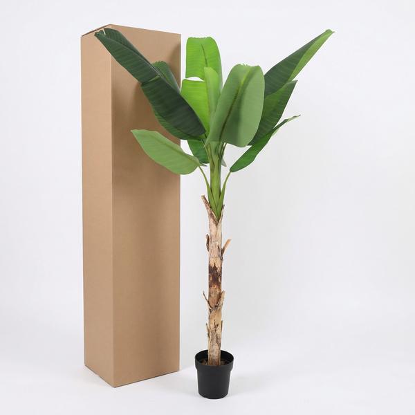 ARTIFICIAL Bananenplant Musa – 190cm